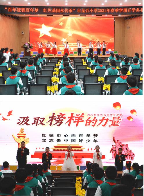 发现共同兴趣-虎皮鹦鹉的伴侣飞走了它会不会绝食?热议中心